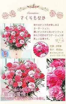 【専用】フラワーカービングなど カービング財布3色-320x180.jpg